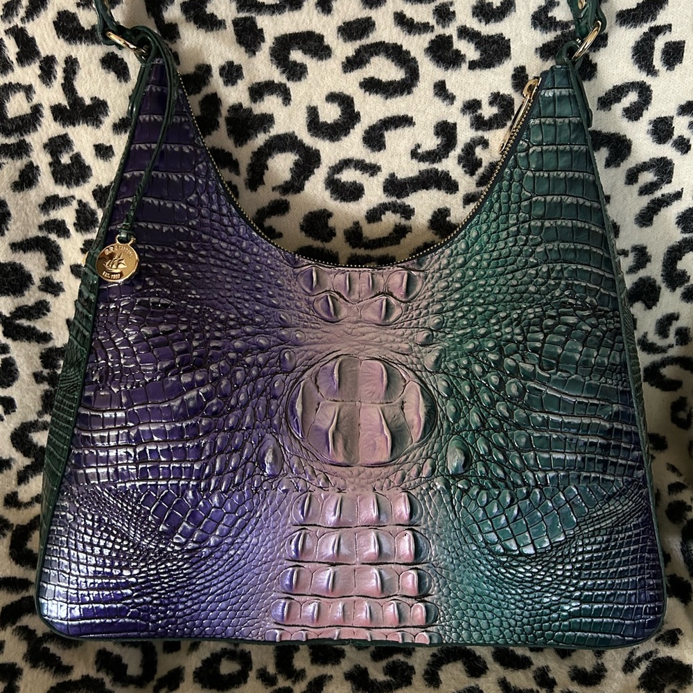 Beautiful Brahmin - Picture 2 of 5